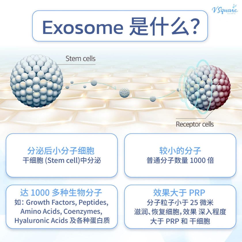 Exosome