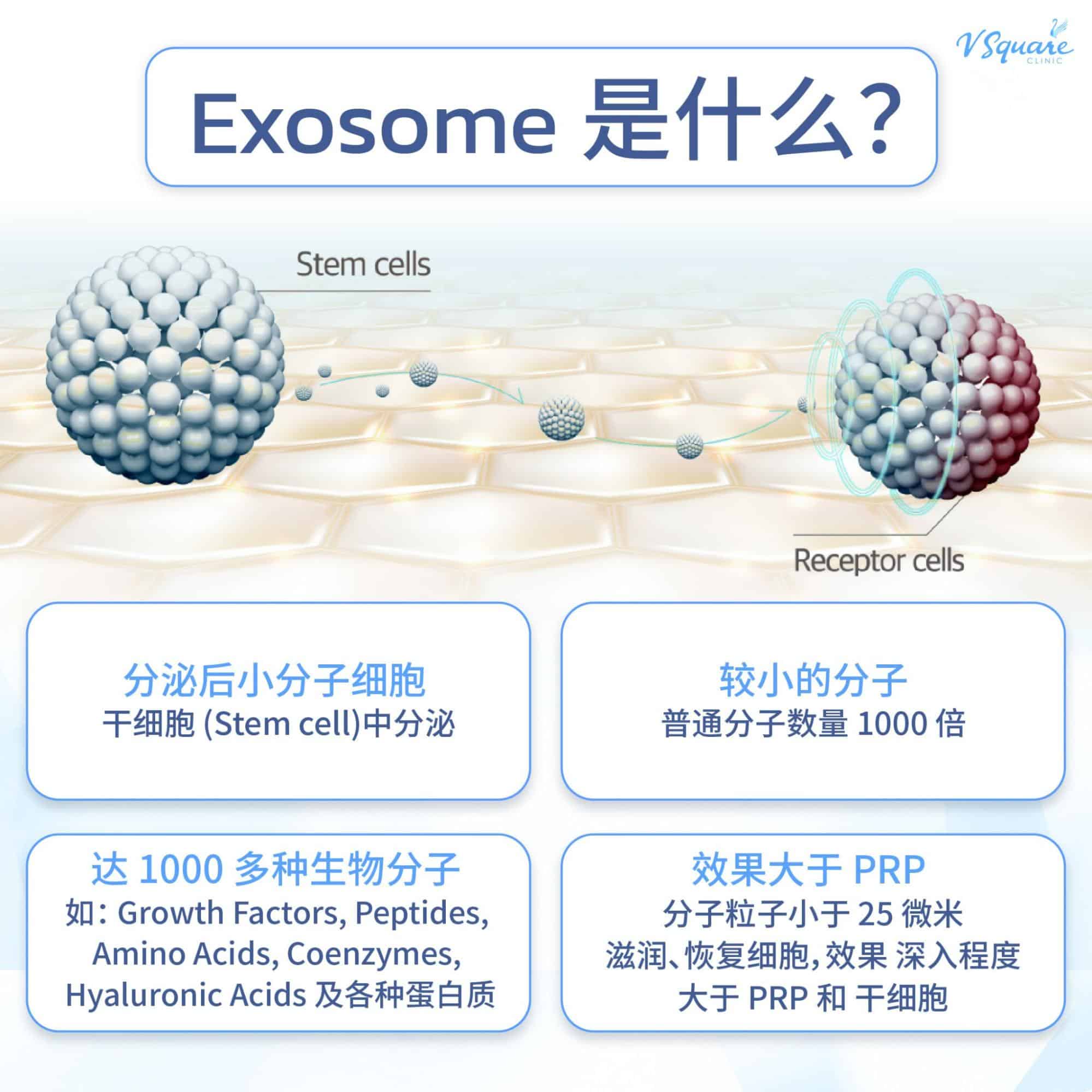 What is Exosome